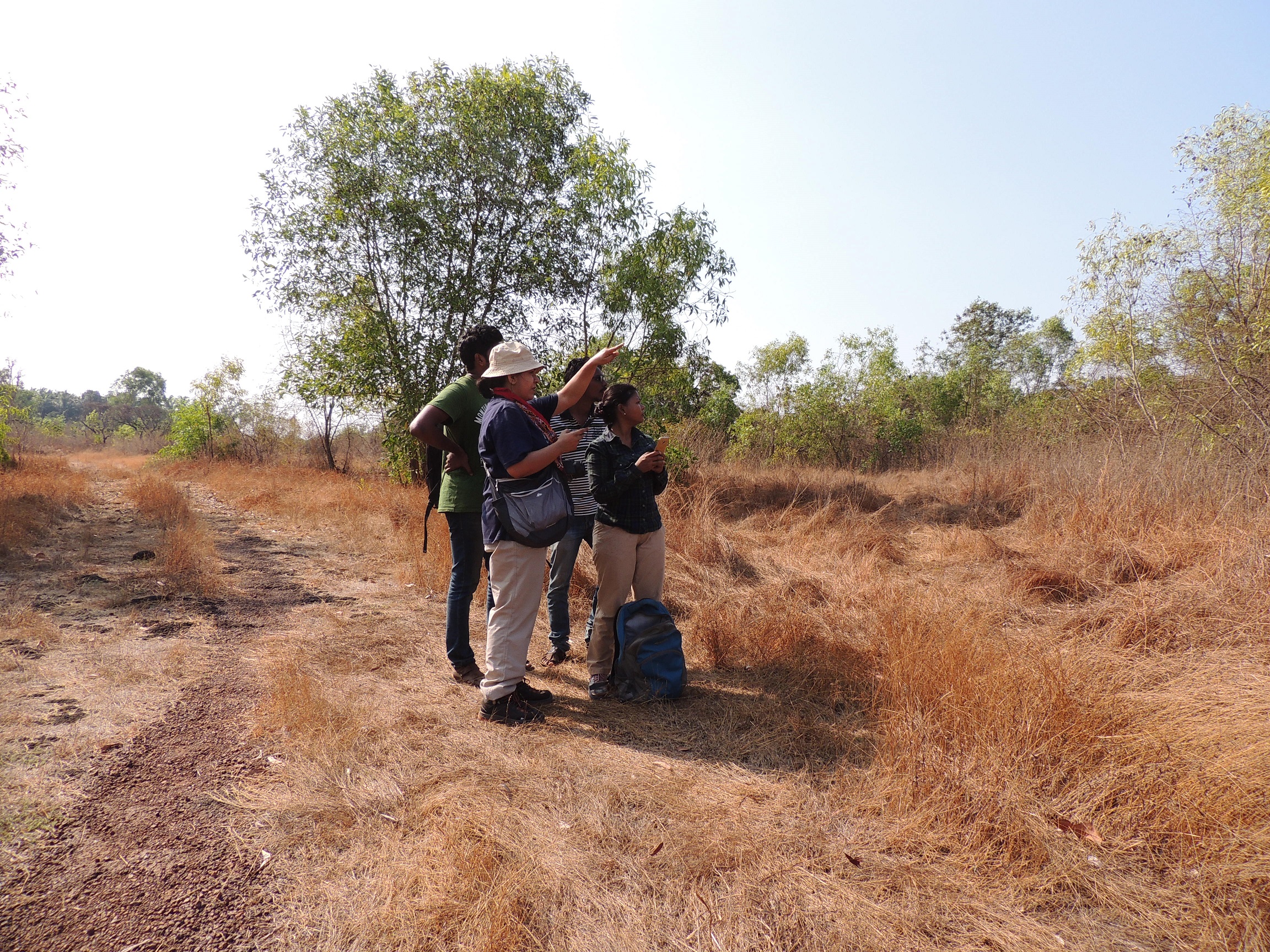 BEL members looking for Jungle Babbler in Kerala