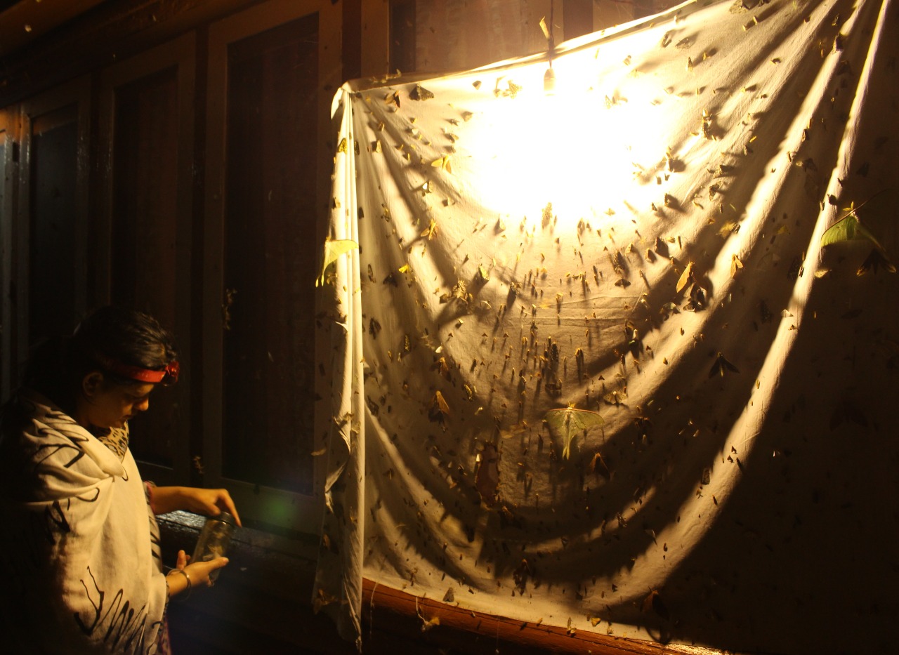 Sujata in the Himalayas at her light trap